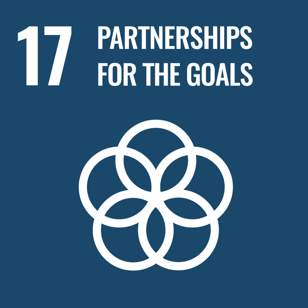 UN SDG Goal 17 icon
